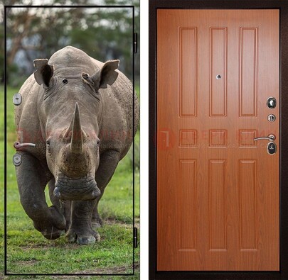 Металлическая дверь с фотопечатью носорога ДФ-31 в Ставрополе